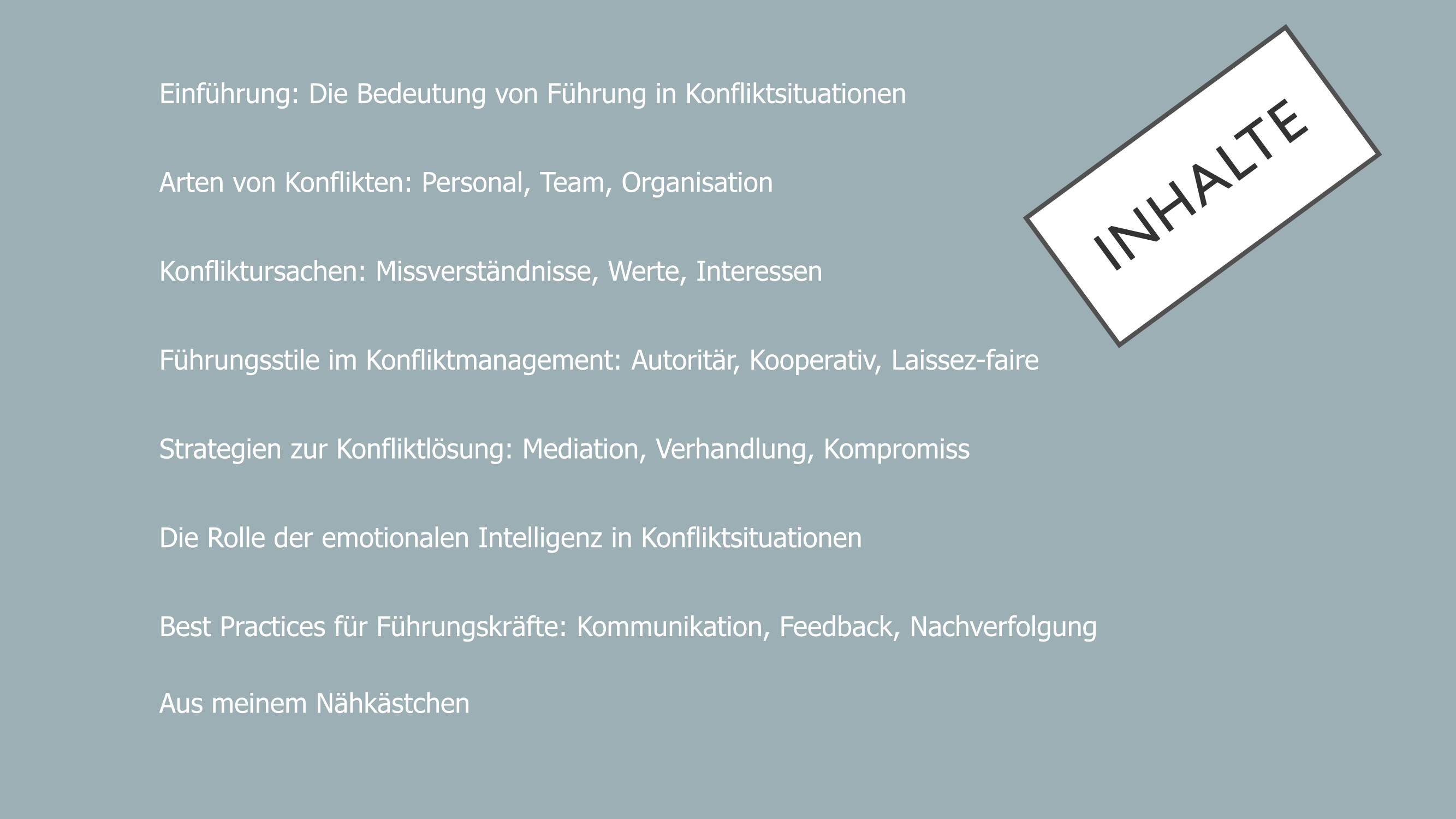 Weiterbildung in Führung-Digitale Expertise als Download-